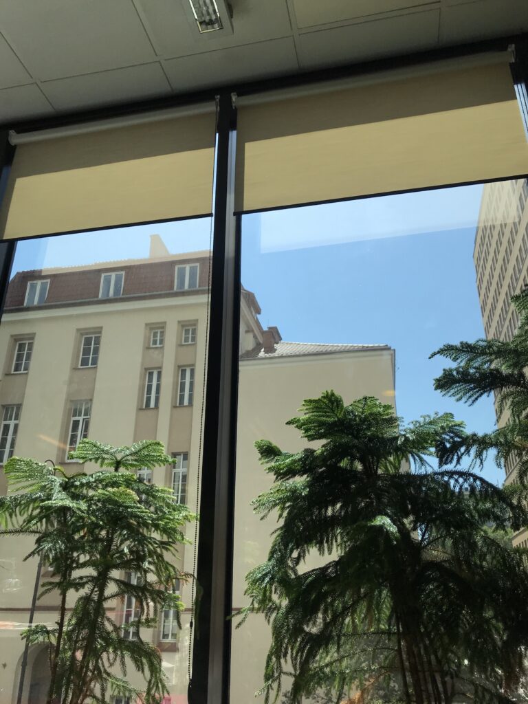 Roleta Wolnowisząca